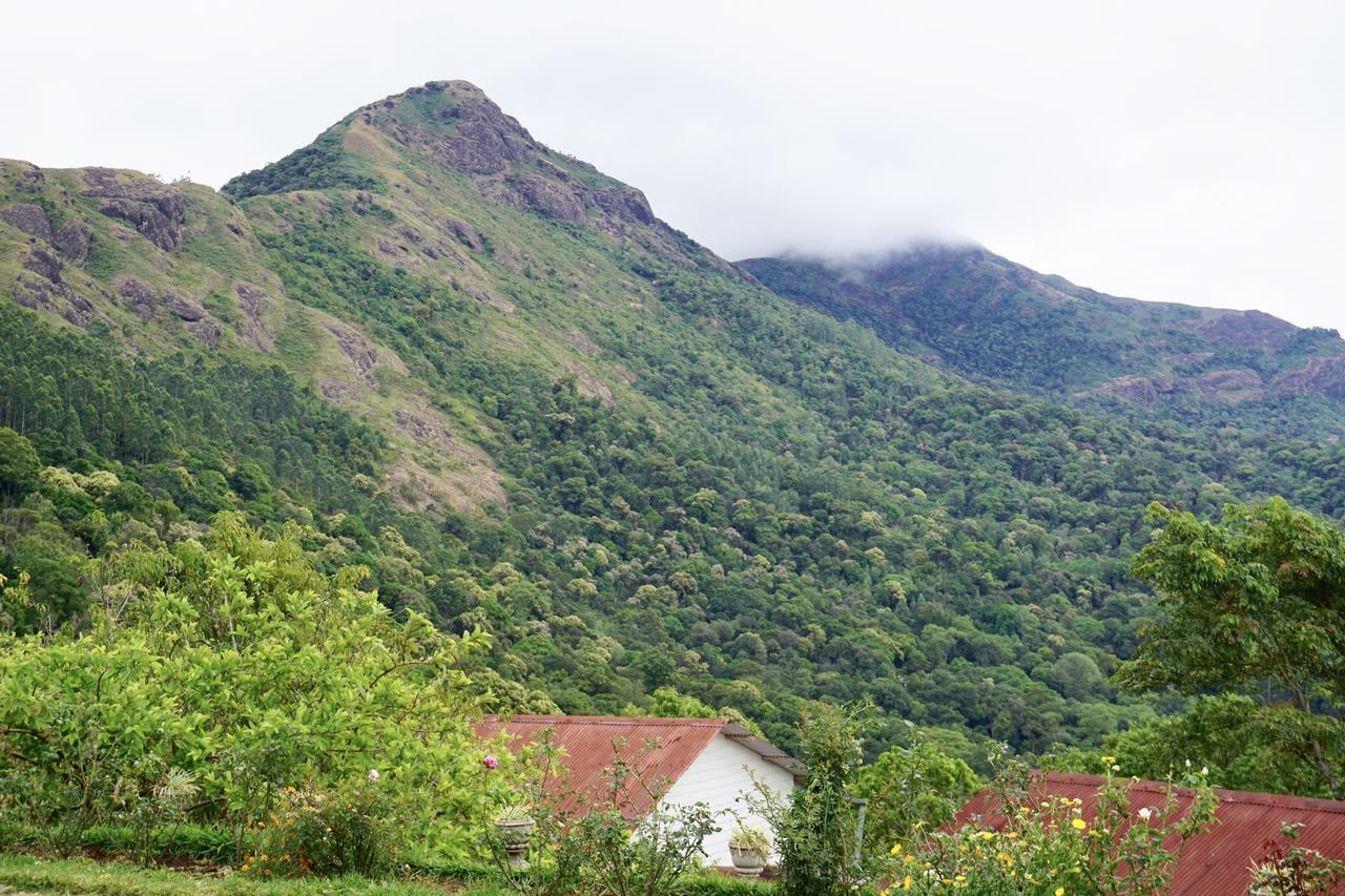 Windermere Estate Munnar Bagian luar foto