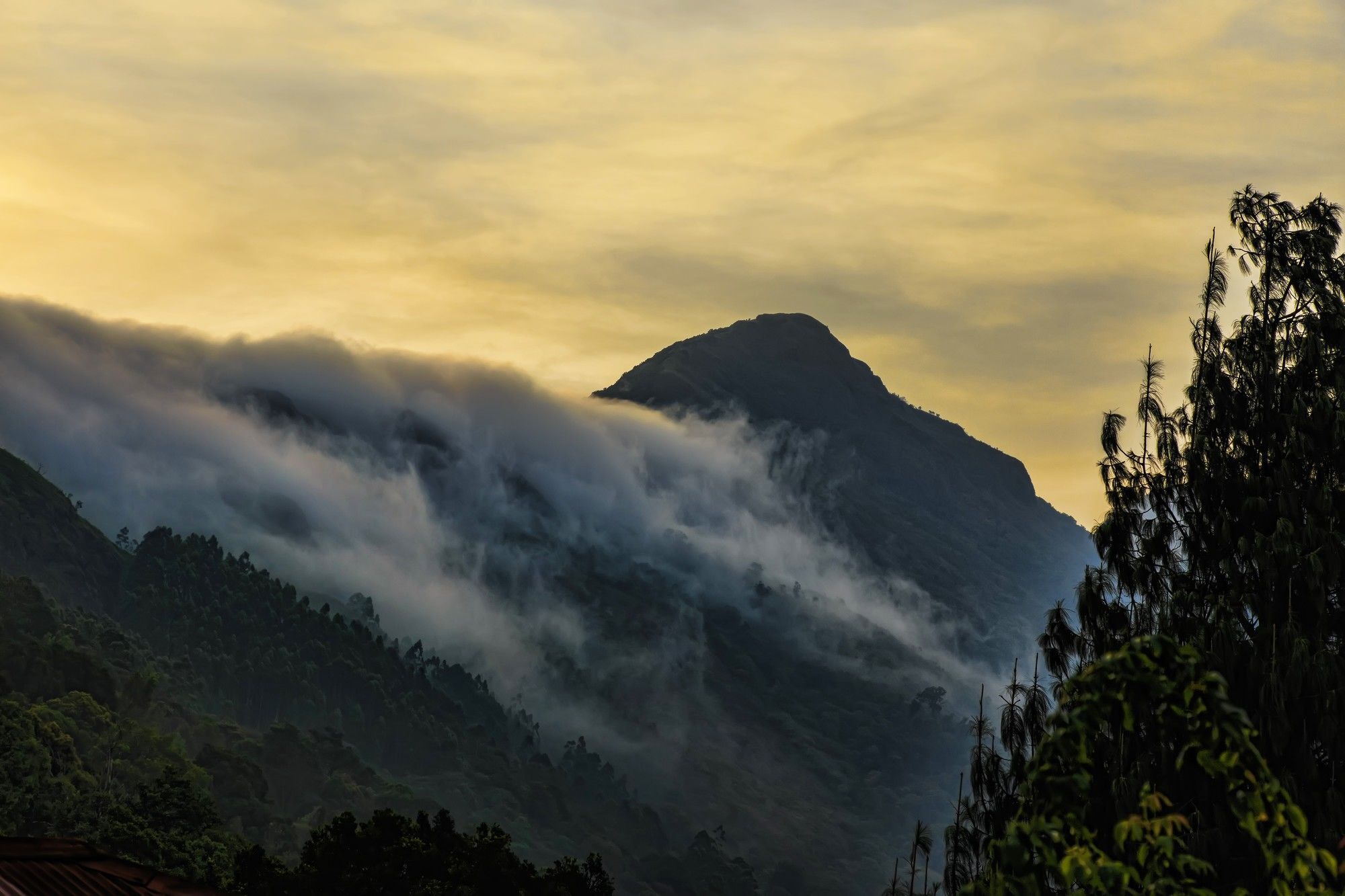 Windermere Estate Munnar Bagian luar foto