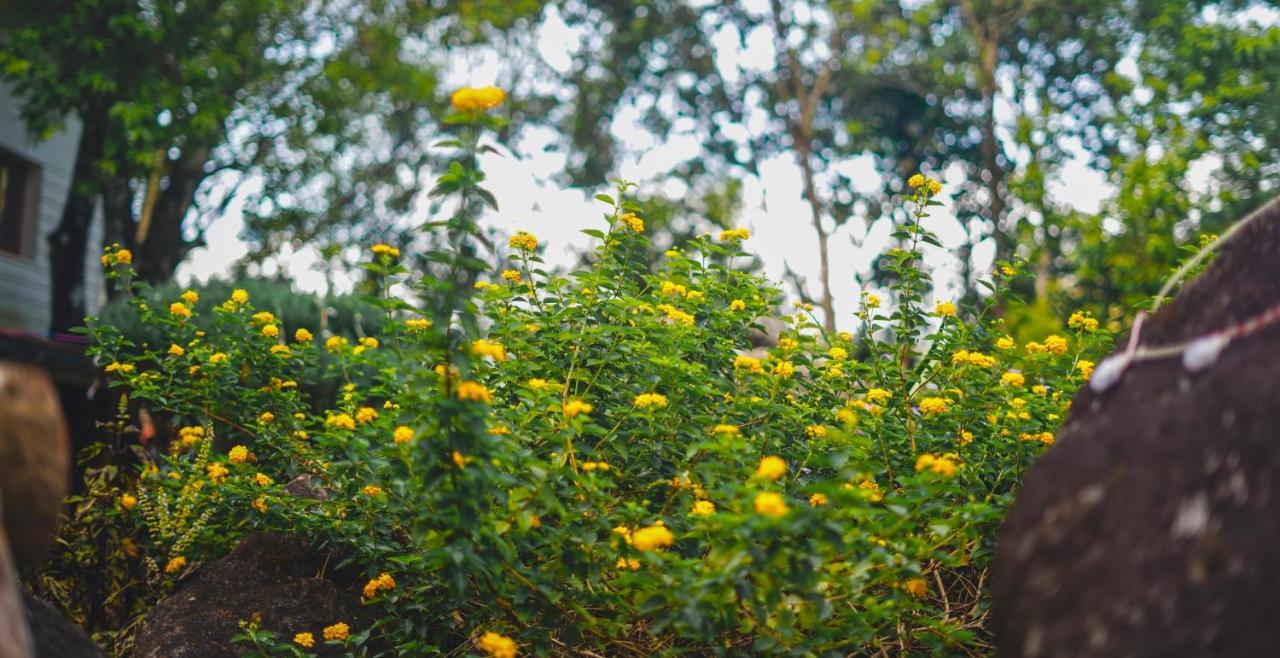 Windermere Estate Munnar Bagian luar foto